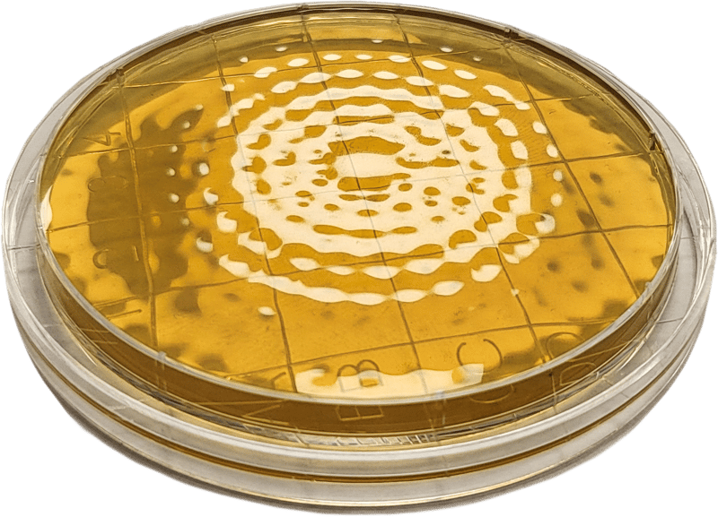 Cherwell Understanding IQOQ and PQ Processes in Environmental Monitoring
