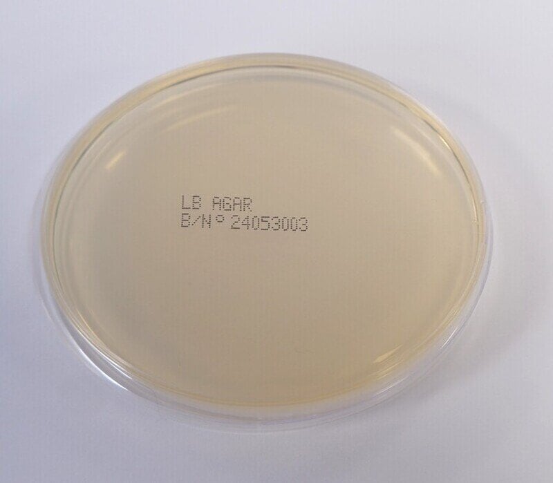 LB Agar 1