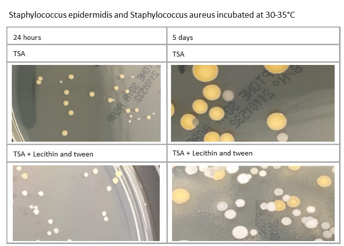 Staphylococcus epidermidis and Staphylococcus aureus incubated at 30-35°C