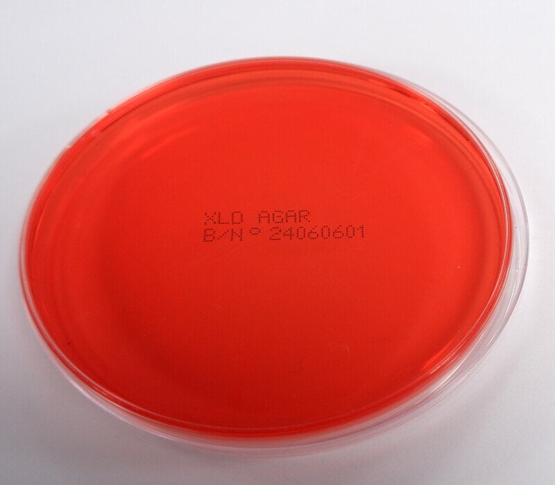 XLD Agar 1