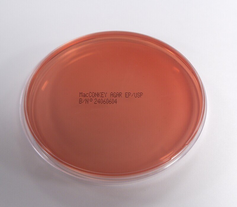MacConkey Agar 1