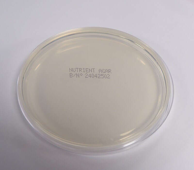 Nutrient Agar 1