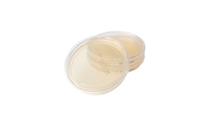 Locking Plates as Part of a Contamination Control Strategy